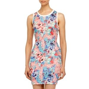 NEW! 👗 Romeo & Juliet Couture Floral Scuba Summit Dress